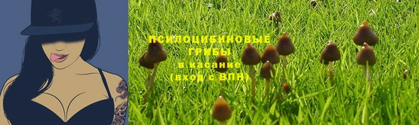 бутират Алзамай