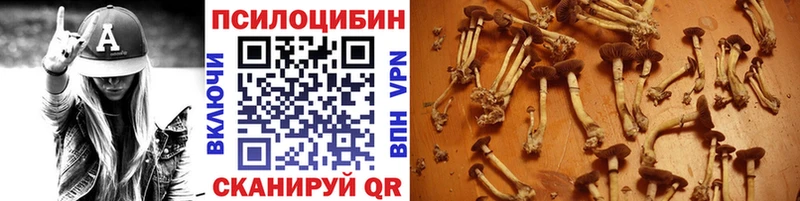 Псилоцибиновые грибы прущие грибы  Кудрово 